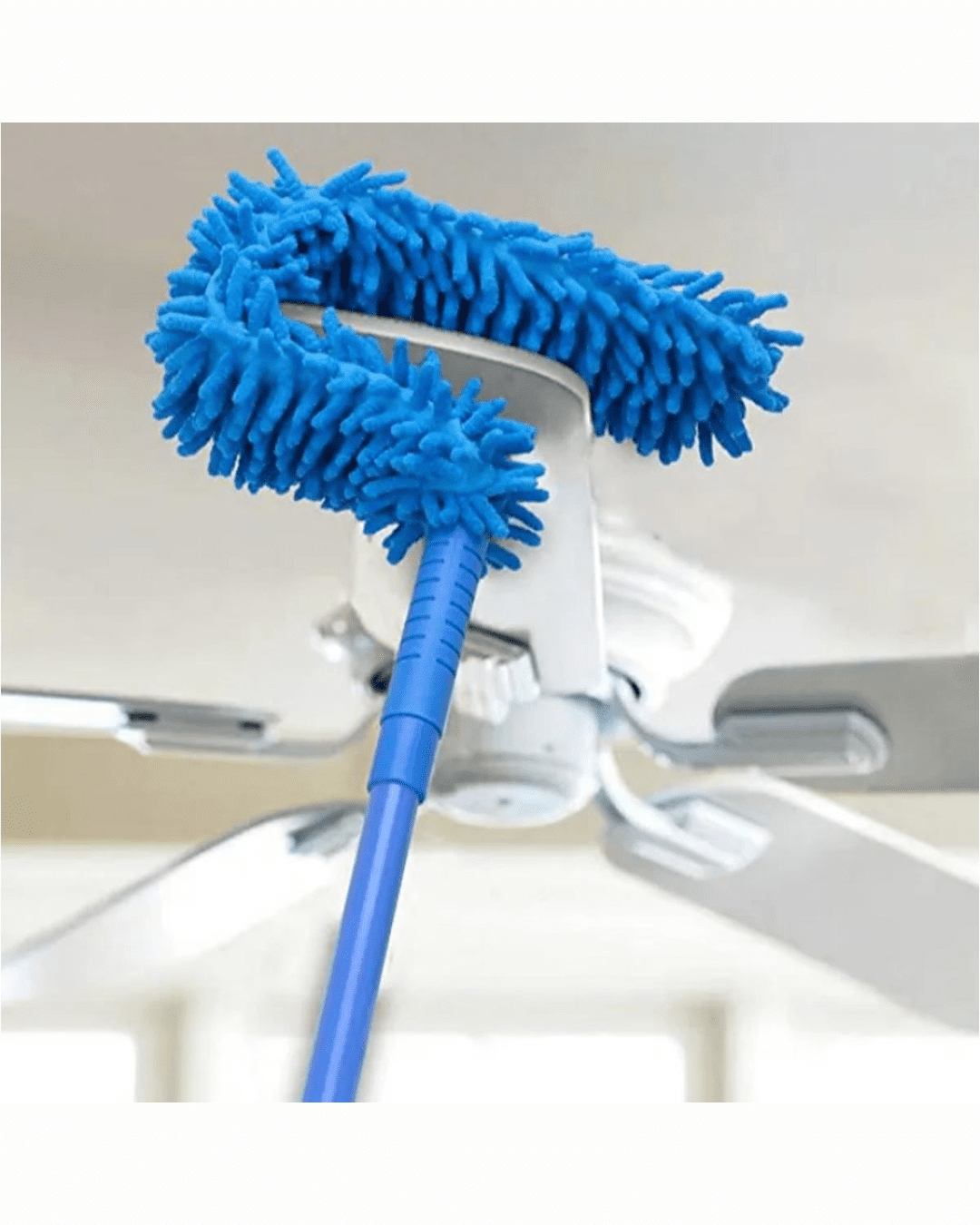 Untitled design - 2026-02-19T215434.522